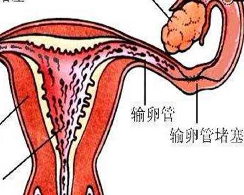 香港验血四大权威机构联系方式_深圳去香港的看婴儿性别究竟准禁绝?我的亲身