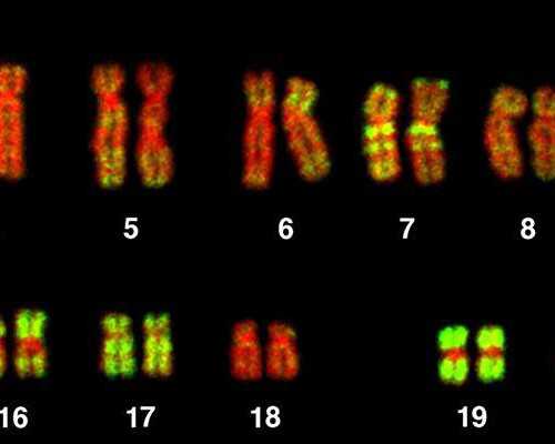 香港验血测胎可以邮寄_《格列佛游记》4篇读书笔记格列佛游记读书笔记（5篇）