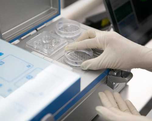 7周香港验血男孩会出错吗_香港验血孩子出生了_原理是什么有哪些条件!