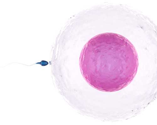 香港时代官方网验血_香港尹镇伟验血微信_有Y染色体生女孩怎么回事