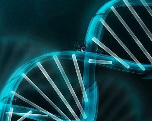 香港验血鉴定男女多少费用_香港验血报告图片_惊准确率高达99.9%