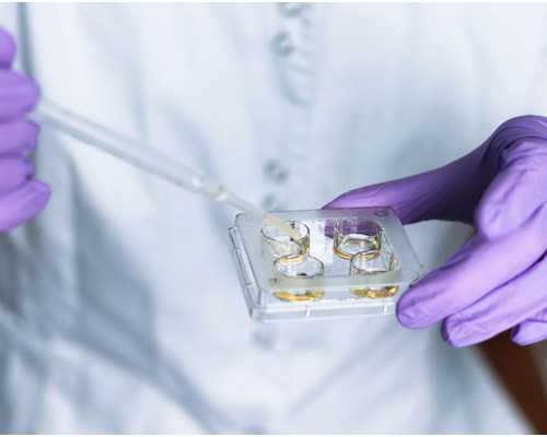 香港验血邮寄到哪里_关于清洁工的作文(800)写一篇关于清洁工的作文