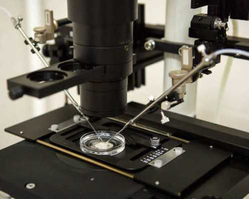 去泰国做试管比较好的中介介绍