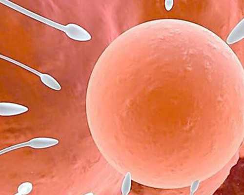 香港验血查早孕多钱_香港验血总是女儿_你想知道的流程都在这!