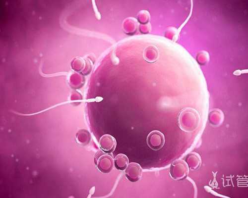 抽血邮寄去香港验血查男女准确率是多少_香港验血有Y颜色体_香港验血报告怎么