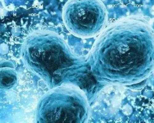 十大古玩电视剧哪个好看_书画投资 警惕高杠杆