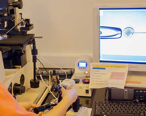 古玩人生宋慎小说_韩美林的中国功夫