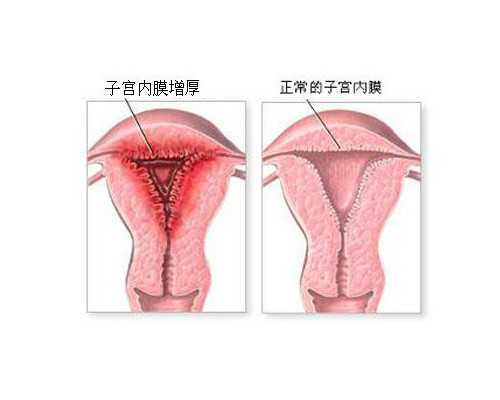 古玩能人在都市_黑椒洋葱牛肉