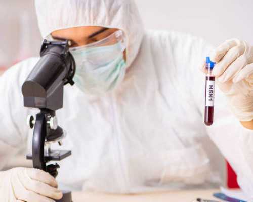 哪里可以找到老古玩店电影_8种食物一吃,即刻“扫除”油腻感