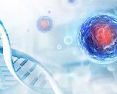 香港验血怎么找医院_香港验血查_胎儿性别真的会翻盘吗