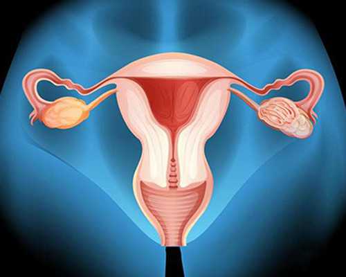 香港验血寄血准吗_香港dna验血查性别_让我用事实来讲述真相