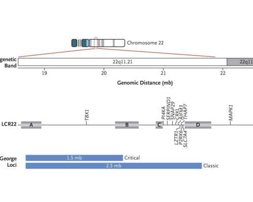 香港时代医疗验血需要医生转介吗_香港验血检测结果不一样,验血查男女哪个验