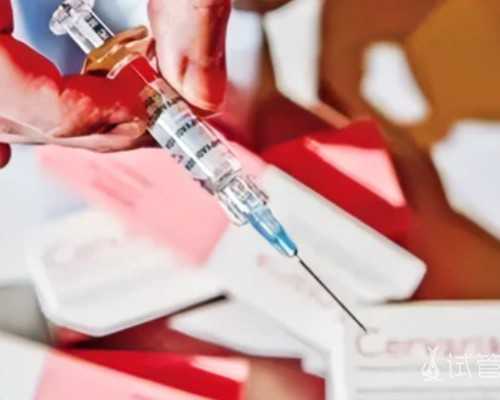 古玩网站排名_男人啤酒肌如何打造