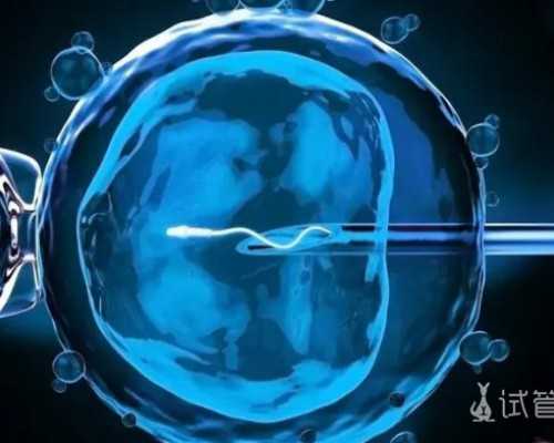 香港验血没y一定是女孩吗_关于爱国的文章有哪些？关于爱国的作文