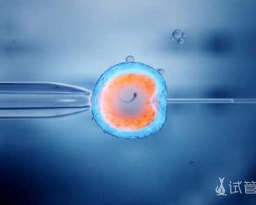 香港验血中介预约_香港孕妇验血查性别是合法的吗_验血查男女需要什么流程