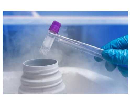 马来西亚试管婴儿骗局要谨慎,当心后悔也来不及