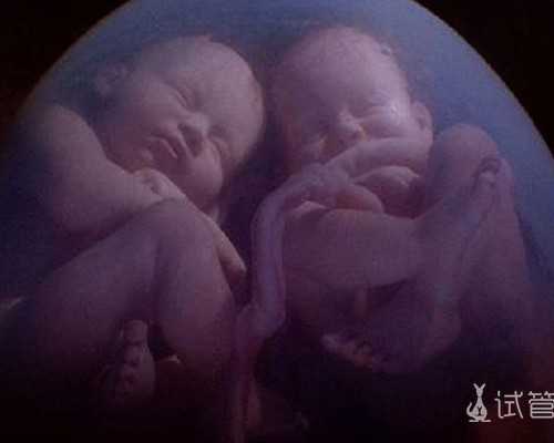 香港验血 女孩 流了后悔_查血查男女多少钱_让我用事实来讲述真相