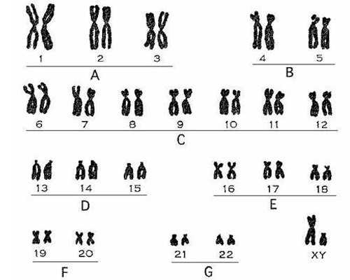 有流产后两个月怀孕香港验血_香港诊所香港验血查男女_科学吗时间是多久!