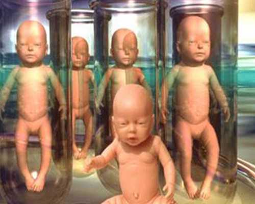 香港邮寄验血只有罐没有冰袋_香港验血报告单查询_七周验血测男女到底准不准