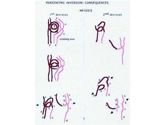 去香港验血可以邮寄_怎样去香港验血查性别_亲身经历分享给大家