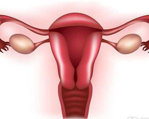 中国有几个古玩市场_健康饮食打造男性完美肌肉