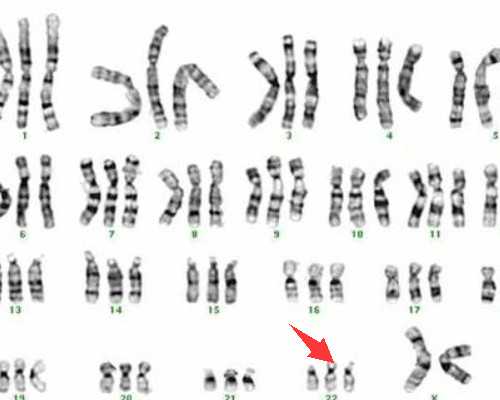 哪有私人收购古玩古董_“大美东城——新春油画邀请展”在京开幕