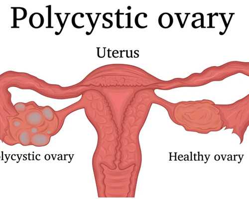 香港验血胎芽5mm准吗_怀孕去香港验血准吗,亲身经验给大家