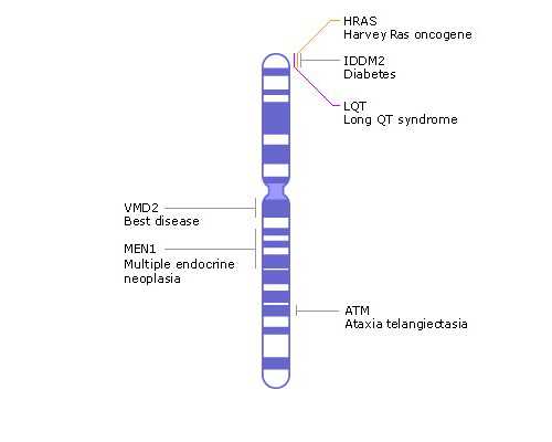 如何去香港验血男女_作文《假如我是一株小草》怎么写假如我是一株小草作文