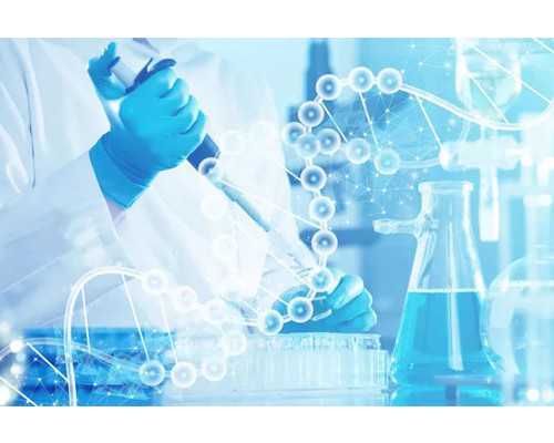 香港验血查男孩多少钱_hk化验所_验血的最佳孕周是多少周