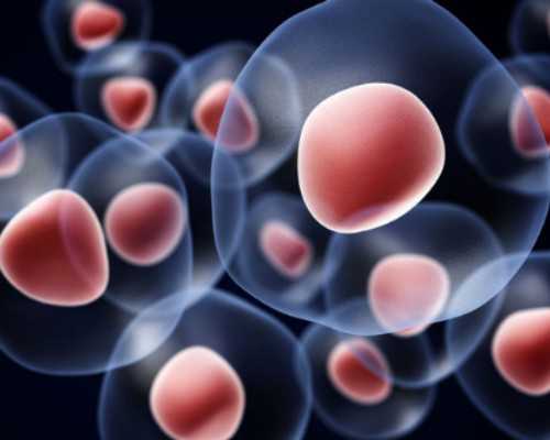 打胎五个月去香港验血的准吗6_香港验血10周验什么准不准,香港验血查男女什么