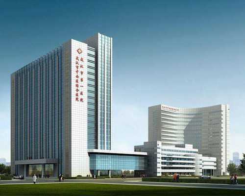 香港化验血生男生女准确吗_13周还能去香港验血吗_性别鉴定真的有科学依据吗