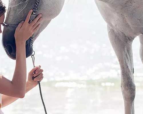 四川古董古玩鉴定私下交易_护肤食物排行榜让夏季护肤变得很简单