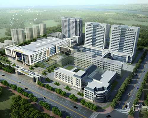 香港医院验血原理_以我心目中的春为题的作文作文 我心目中的春