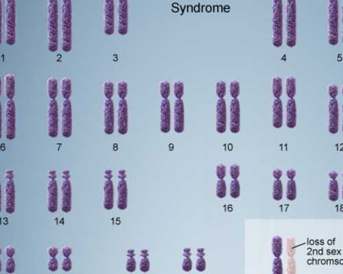 到香港验血要花多少钱啊_香港dna血液性别鉴定是否真的?有必要告诉大家验男女