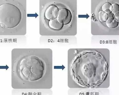 香港验血鉴定性别的机构_寄血到香港查男女流程?需要注意的都在这!