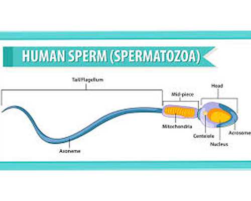 有多少孕妇香港验血的_令人感动的故事让人感动得一件事作文