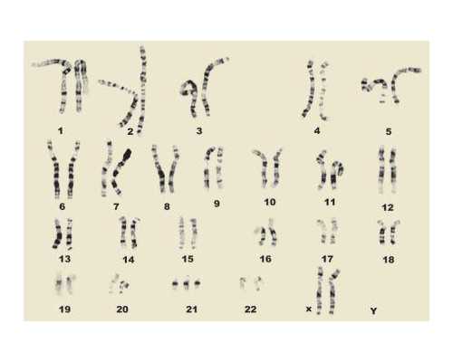 怀孕五周可以香港验血吗_怀孕香港抽血看性别有不准的吗？时间是多久？