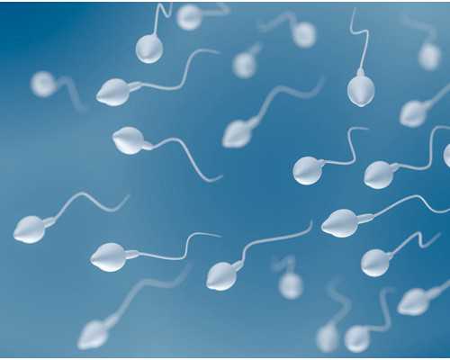 合肥贵阳檀木古玩木器鉴定出手_六类“老地图”收藏潜力大