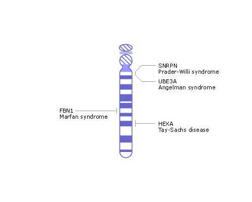 怎么去香港验dna验血多少钱大概_7周香港验血男孩准吗_真实经历分享