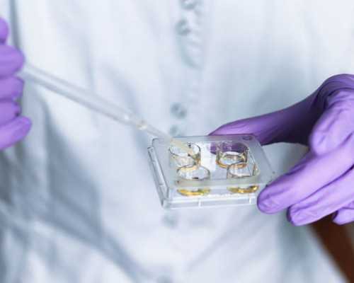 香港究竟验血准不准确_他生气了作文500字写得好一点?妈妈生气了450字作文