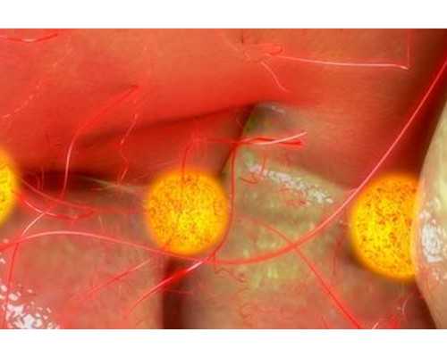我的怀孕经历和香港验血报告_去香港医院验血攻略_鉴定性别哪个化验所最准确