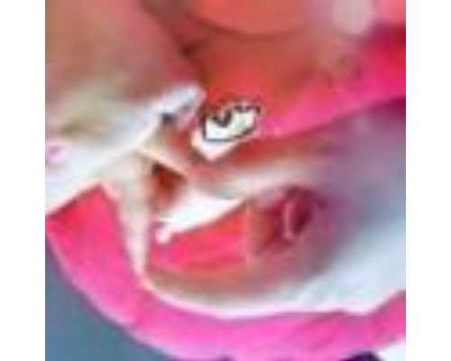 验血查男女准确率大吗香港_内地人可以去香港验血吗_验血查男女哪机构个最准