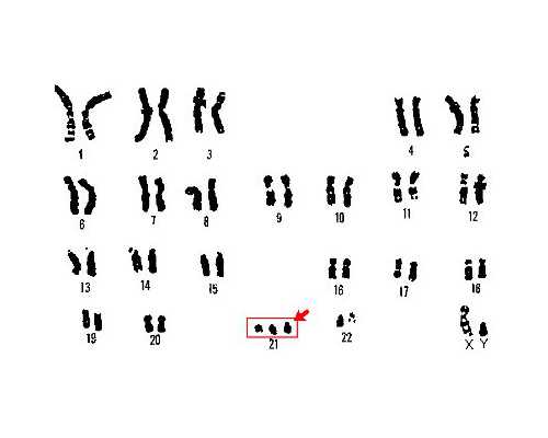 古玩鉴定专家怎么联系_黄瓜胡萝卜卷