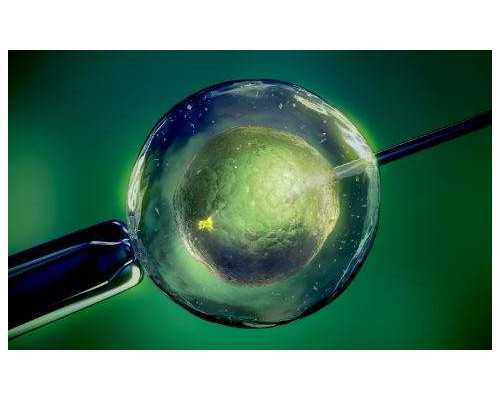 古玩术语_钱币市场3月8日集币视点