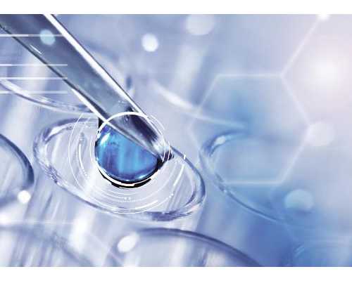 香港验血到哪采血寄的去_香港精准验血报告单图准不准_多少周可以去香港验血