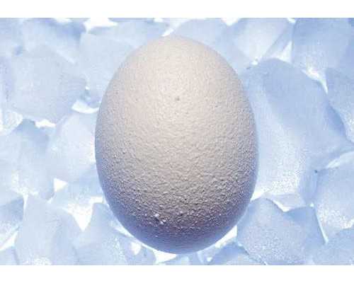 香港验血最低多少钱_胎儿dna性别鉴定有什么禁忌?最关键的流程都在这里