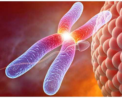 香港验血机构报告都不一样吗_香港验血查男女找谁靠谱_验血查男女真实经历分