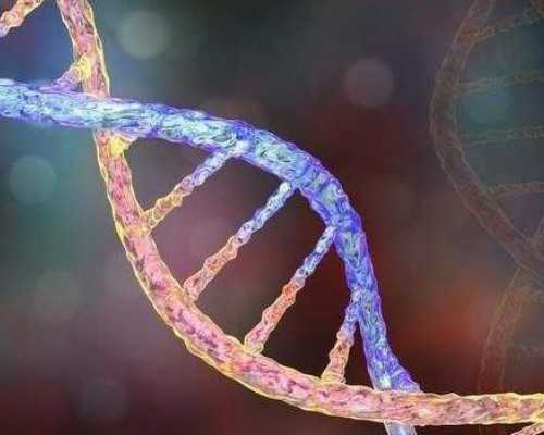 如果自己去香港验血来回费用是多少_以翅膀为话题的作文以翅膀为话题作文