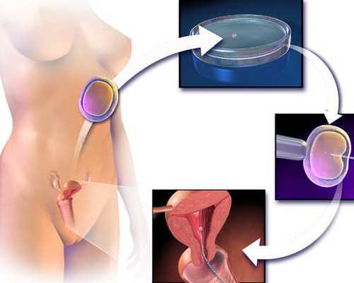 香港验血查男女的依据是什么意思_香港验血查男女可以邮递吗_怎么个流程费用