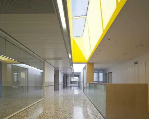 网上香港验血是骗局吗_关于执着的话题作文我有我的执着作文800字